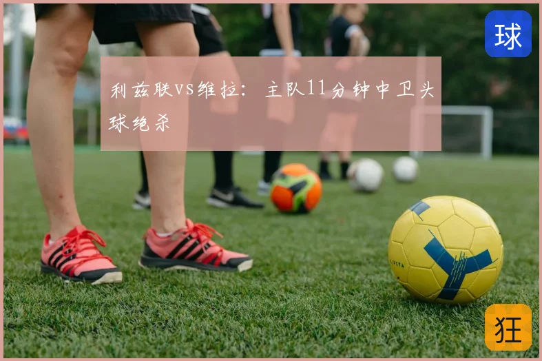 利兹联vs维拉:主队11分钟中卫头球绝杀