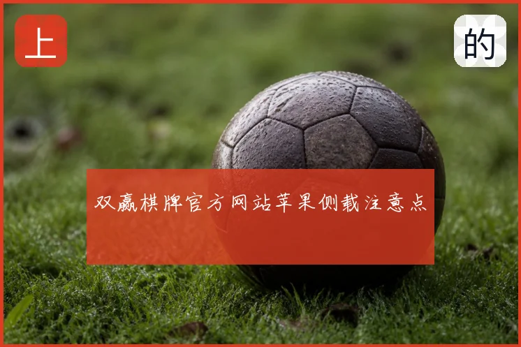 双赢棋牌官方网站苹果侧载注意点